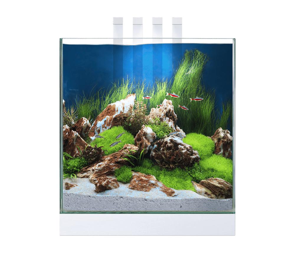 Ciano Nexus Pure 25 Cube Aquarium With LED Light Coldwater Kits