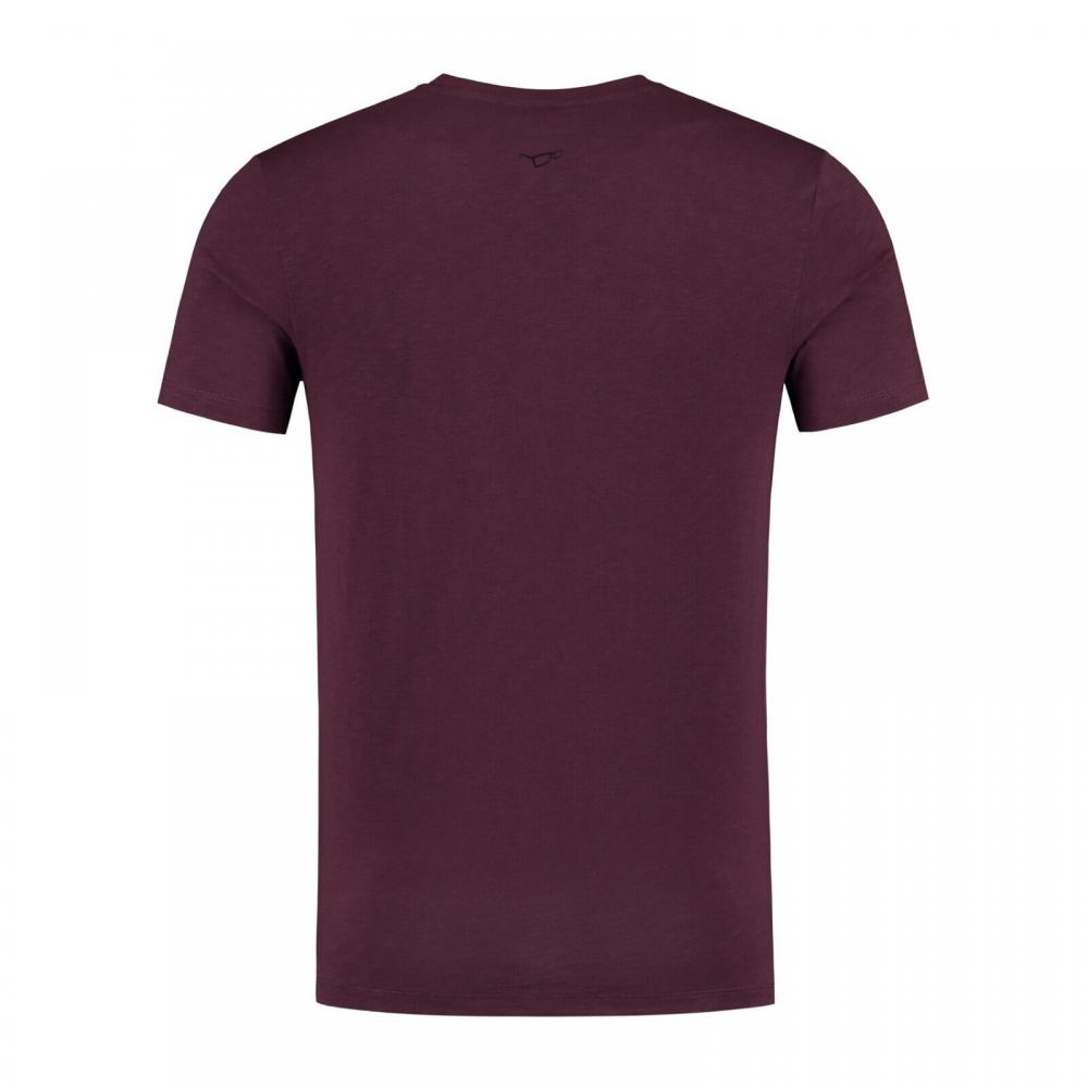 Korda Limited Edition Scenik T-Shirt Clothing | BobCo Tackle