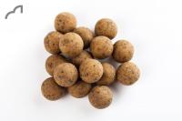 Spotted Fin Catalyst Shelf Life Boilies