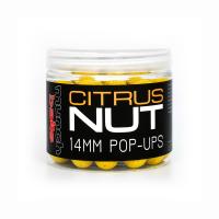 munch-baits-citrus-nut-pop-ups-cnp14