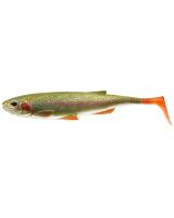 Daiwa Duckfin Liveshad 2 pack 20cm : Rainbow Trout