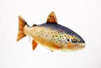 Gaby Brown Trout Pillow