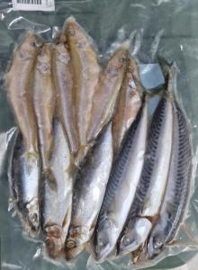 Lucebaits Pike Pack (8 Fish)