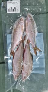 Lucebaits Coarse Fish (2-6 Fish)