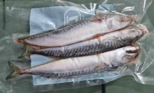 Lucebaits Small Mackerel (3 Fish)