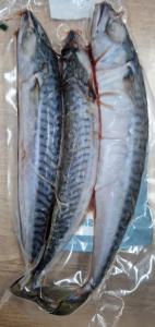 Lucebaits Medium Mackerel (3 Fish)