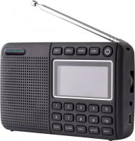 Powapacs DAB Plus Pro Radio