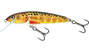 Salmo Minnow Floating - 6cm - Trout