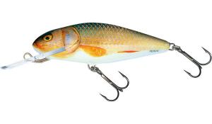 Salmo Perch Floating - 12cm - Real Roach