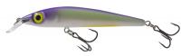 Salmo Rattlin Sting Floating 9cm Table Rock Shad