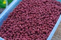 spotted-fin-sweet-meat-method-ready-pellets-4mm-smreadypell4